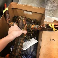 Skipness Seafood Cabin ảnh của người dùng