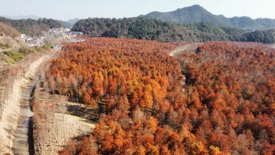 大紅燈籠（江東店）