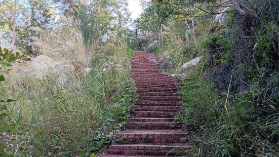 粵東地區汕頭市濠江區的巨峰寺，可以蔥較為坦途的珠浦社區旁邊，