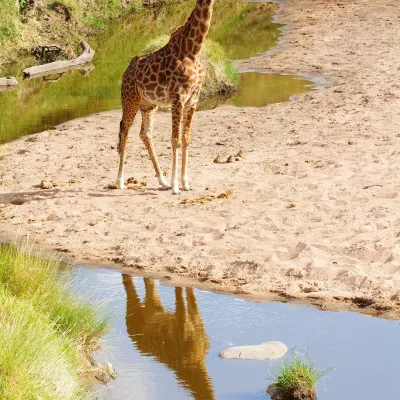 С видом на море Отели в г. Дар-эс-Салам