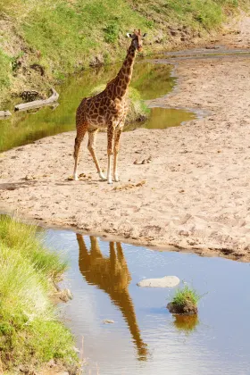 Vol Arusha Zanzibar