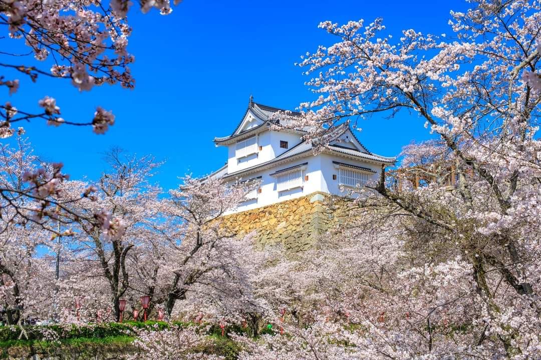 Compare 5 airports near Tsuyama