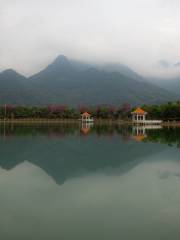 石馬龍濕地公園