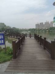 Yinhu Park