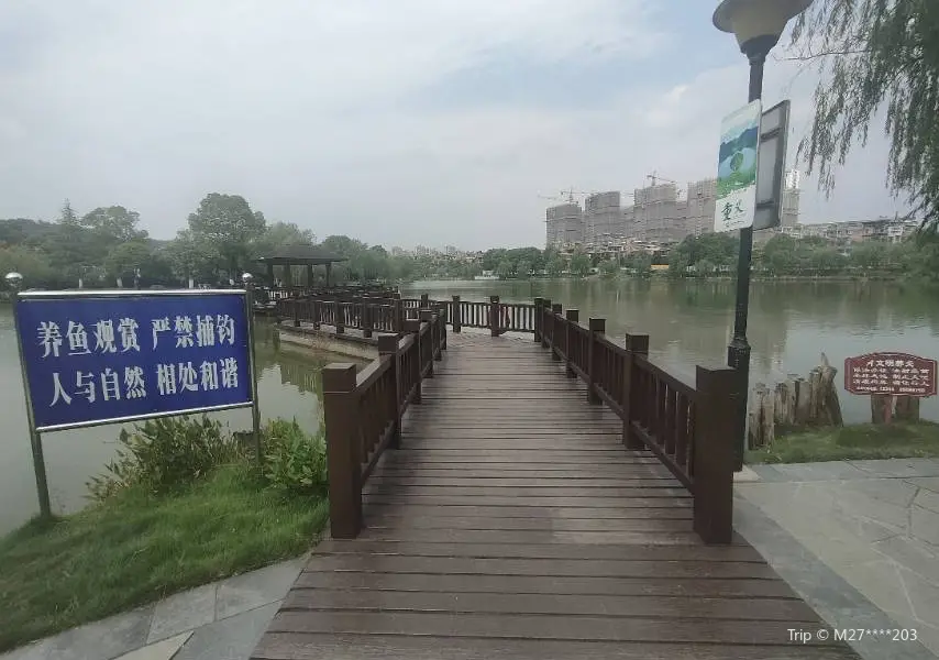 Yinhu Park