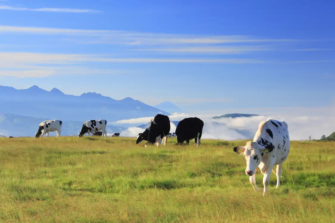 Các khách sạn gần Utsukushigahara Highland