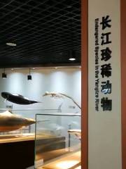 중국 과학원 수생 생물 박물관