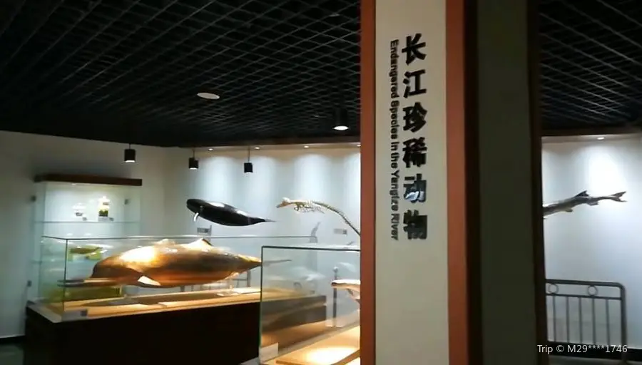 Shuisheng Shengwu Museum