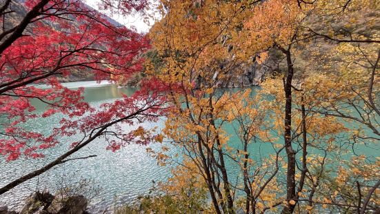 秋天的景区绝美，虽然跟隔壁家毕棚沟比较，从成都出发要远一点，