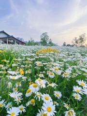 桃花源濕地公園