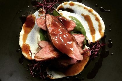 The Butterfly and the Pig