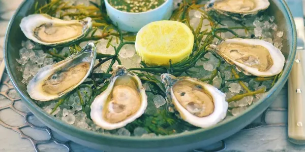 Top 3 Fine Dining in Orlando