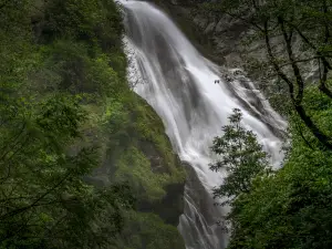 Xia Yadong Primeval Forest