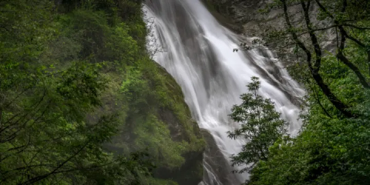 下亞東原始森林
