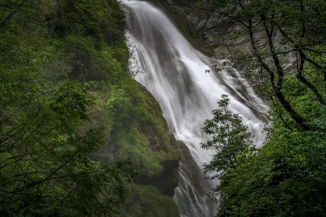 Hotels near Xia Yadong Primeval Forest