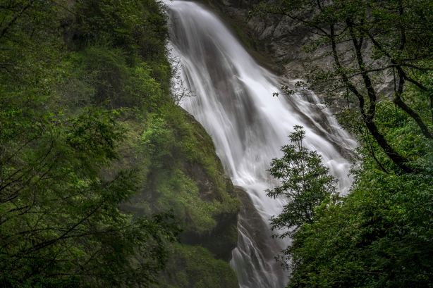 Xia Yadong Primeval Forest
