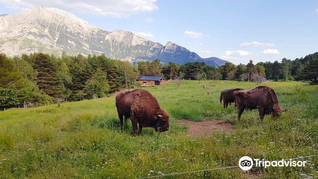 Parque Faunistico - La cuniacha