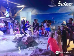 SeaQuest Lynchburg