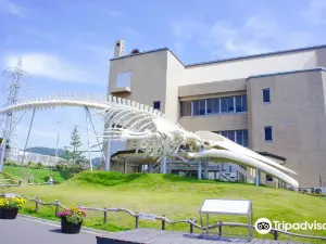 Wadaura WA O ! Rest Area