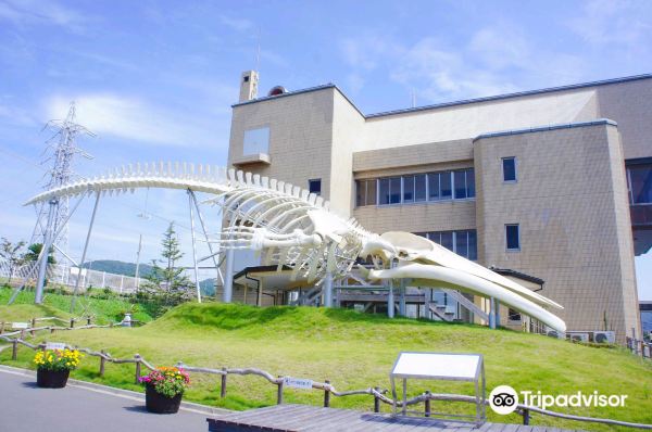Wadaura WA O ! Rest Area