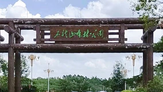 Qitaihe