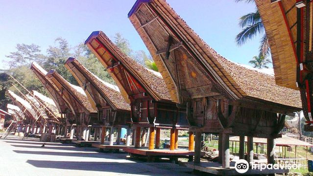 Londa Ancient Graveyard