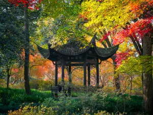 Hangzhou Botanical Garden
