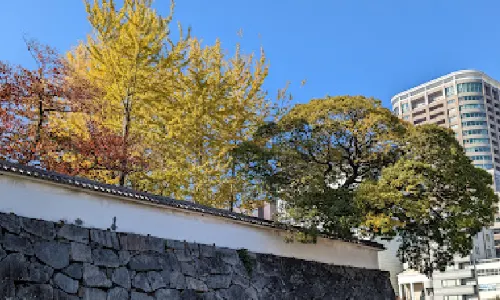 Parco Maizuru