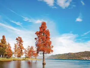 Erhai Lake