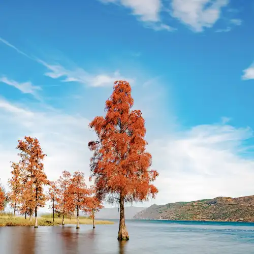 Top 20 Fall Viewing Attractions in Dali City
