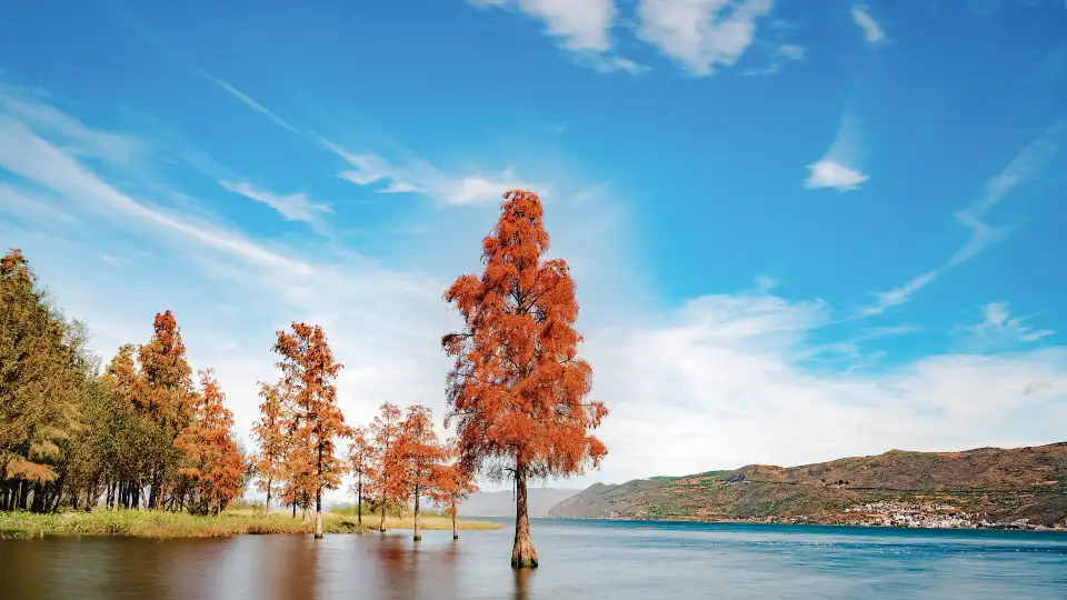 2_Erhai Lake
