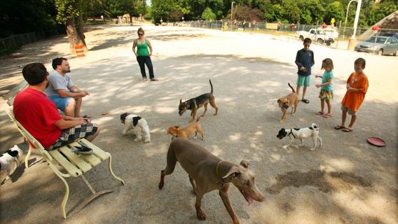 Lakewood Dog Park