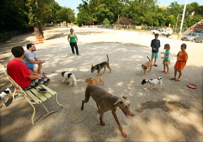 Lakewood Dog Park