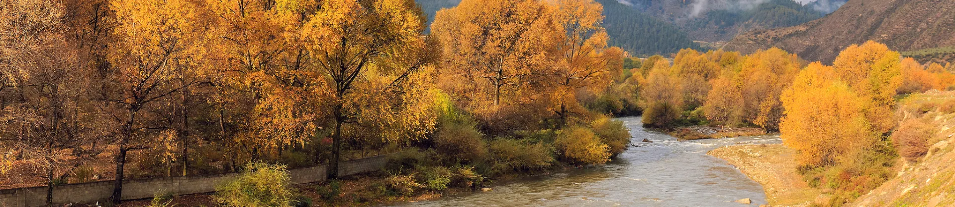 Attrazioni per la visione autunnale