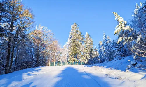 クロワ・ド・ボーゾン