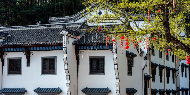 구화 거리