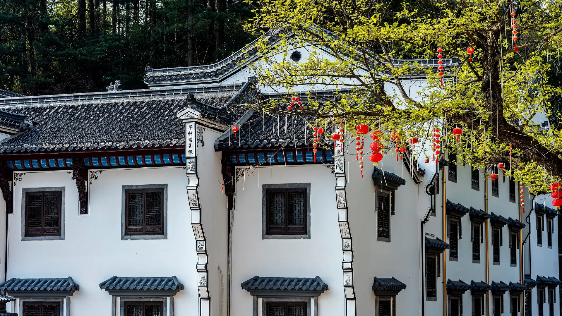 Hotels near Jiuhua Street