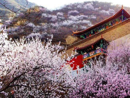 雞鳴山旅遊風景區