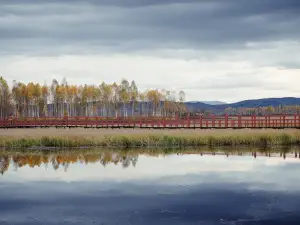 Xinqing National Wetland Park