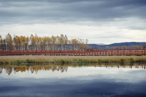 Xinqing National Wetland Park