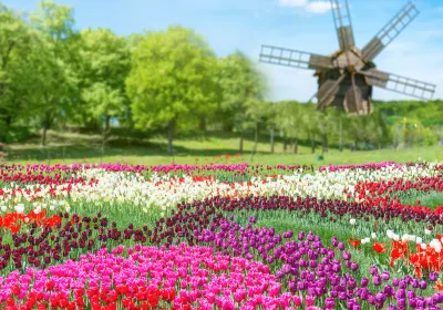 Keukenhof