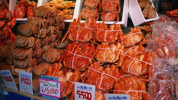 Sapporo Crab Market