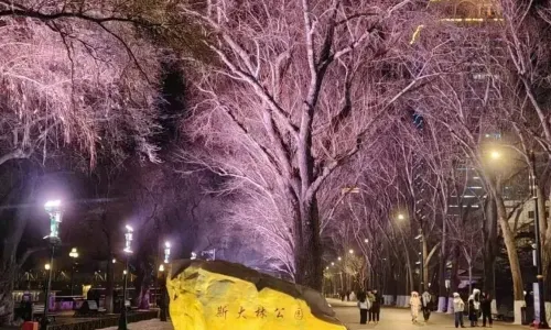 Stalin Park
