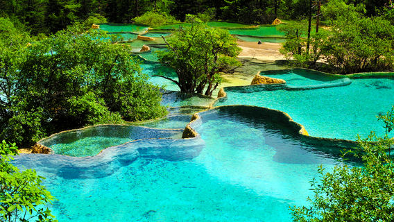 Zhengyan (Flamboyant) Pond