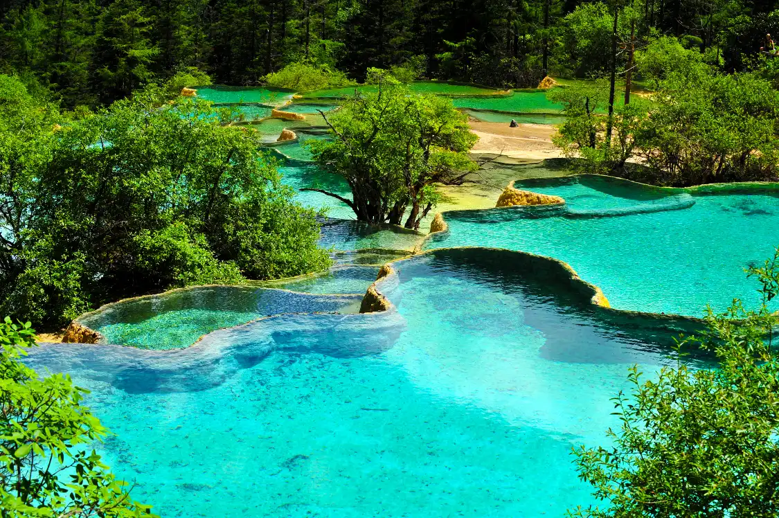 Hotels near Zhengyan (Flamboyant) Pond