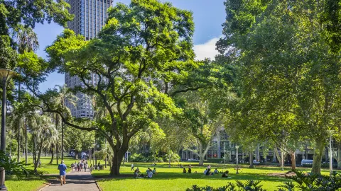 Hyde Park attraction in Sydney