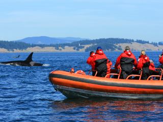 維多利亞10大最佳酒店排名