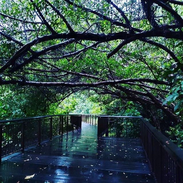 Nice Quiet Park, West Coast Park