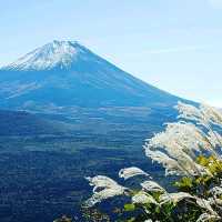 【山梨県富士河口湖町】パノラマ台