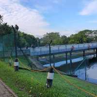 MacRitchie Reservoir